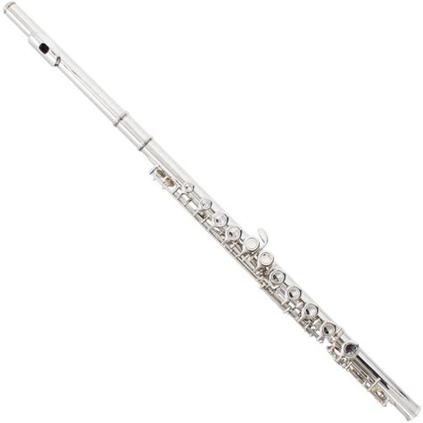 The 5 Best Flute Brands for Beginners (Reviews-2022) | SonoBoom.com