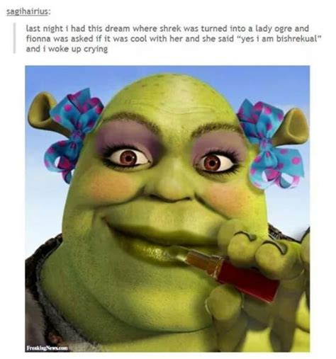 IT'S ALL OGRE NOW | Shrek | Know Your Meme