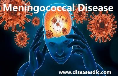 Meningococcal Disease – Signs, Symptoms, and Risk factors