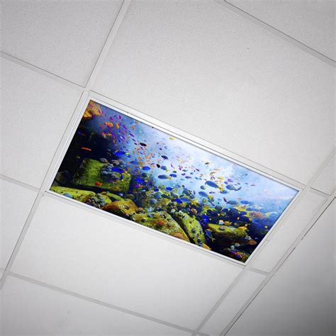 Octo Lights - Fluorescent Light Covers - 2x4 Flexible Ceiling Light ...