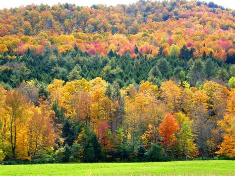 9 Things All Vermonters Do During The Fall Season