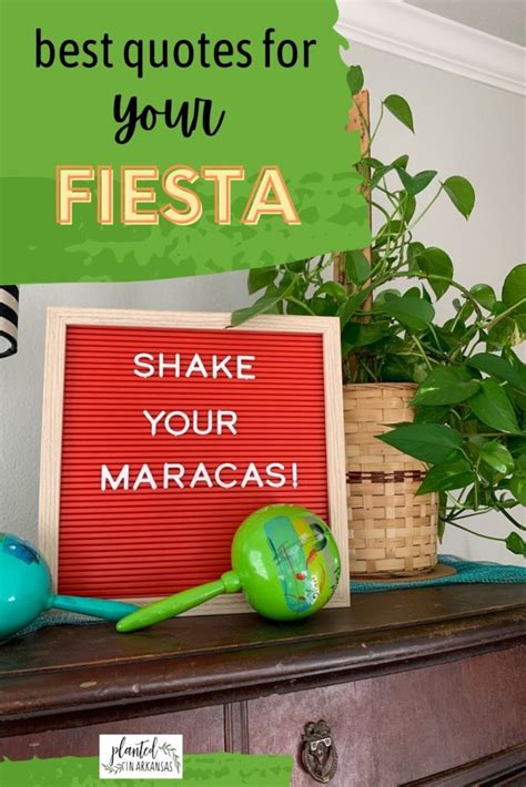 Best Cinco de Mayo Quotes and Fiesta Quotes for Parties