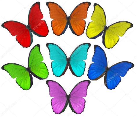 Rainbow color butterflies illustration Stock Photo by ©Dr.PAS 34869191