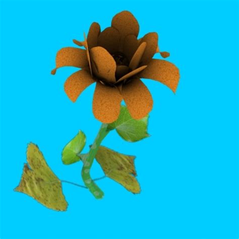 Flower Blooming Animation 3d Model