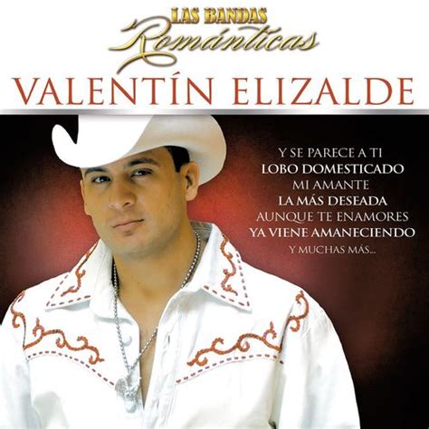 Valentin Elizalde - Las Bandas Romanticas (CD) - Amoeba Music