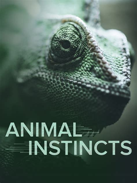 Watch Animal Instincts Season 1 | Prime Video