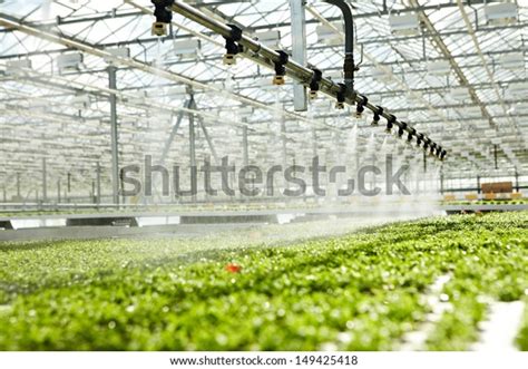 Greenhouse Watering System Action Stock Photo 149425418 | Shutterstock