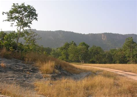 Visit Bandhavgarh National Park, India | Audley Travel