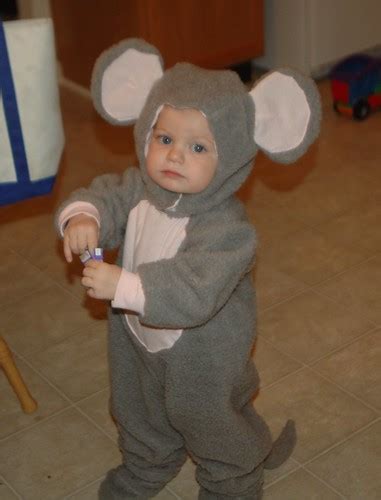 Joey's Halloween Costume | He is digging into some of the ca… | Flickr
