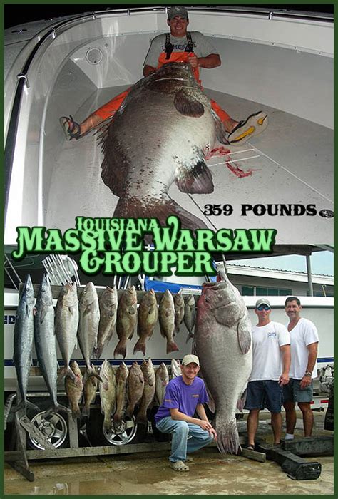 Giant Warsaw Grouper | Fishing Louisiana