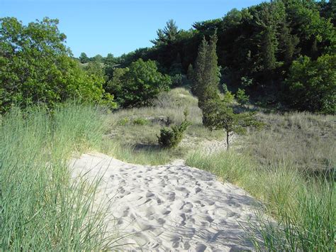 File:Indiana Dunes-State-Park-02.jpg - Wikipedia, the free encyclopedia