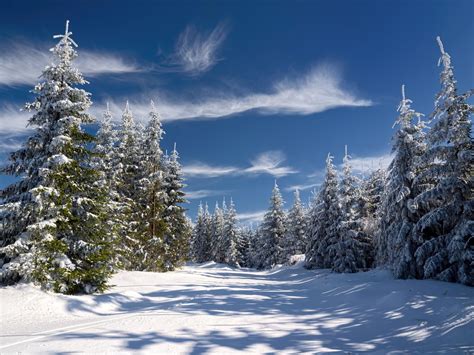 Winter Wonderland II | Winter scenes, Winter photos, Colorado landscape