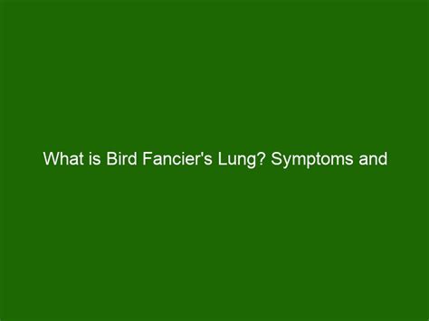 What is Bird Fancier's Lung? Symptoms and Treatments of This Disease - Health And Beauty