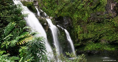 Maui Private Hiking Tour - Guided Rainforest & Waterfall Hike