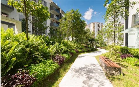 The Importance of Green Spaces in Cities | Zameen Blog