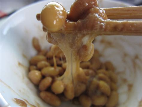 Unique Eats: Natto – Japanese Fermented Soybeans – Asahi Imports