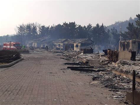 National disaster idineklara sa South Korea dahil sa forest fire » Philippines Report