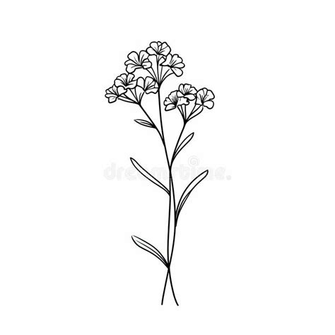 Whimsical Minimalism: Flower Plant Line Drawing for Trendy Tiny Tattoos Stock Illustration ...