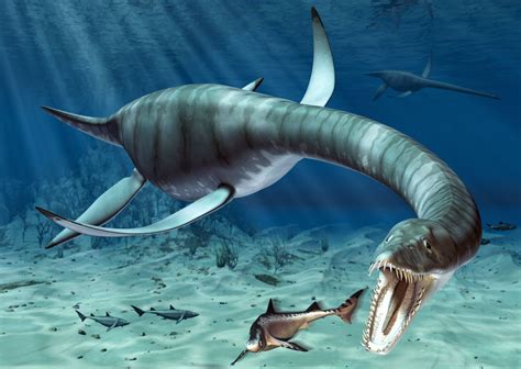 Facts and Figures About Plesiosaurus, the Long-Necked Marine Reptile