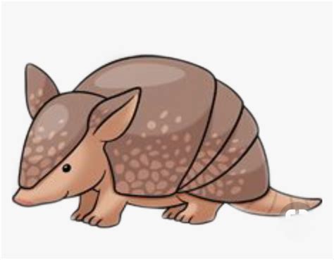 #armadillo - - Armadillo Drawing Easy, HD Png Download - kindpng