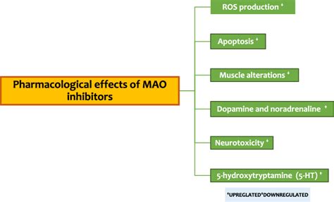 Pharmacological effects of MAO inhibitors. | Download Scientific Diagram