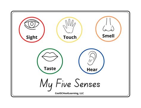 5 Senses Printable Preschool Poster Kindergarten Readiness | Etsy