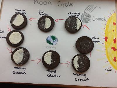 Mrs. Watson's Magic School Bus: The Moon Phases Activity | Moon phases ...