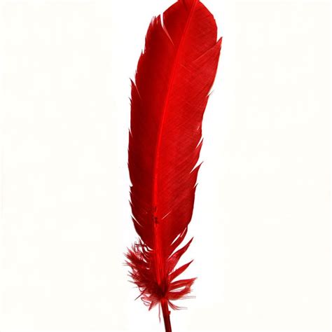 Feathers: a collection of ideas to try about Hair and beauty | Indian feathers, Red indian and Sioux