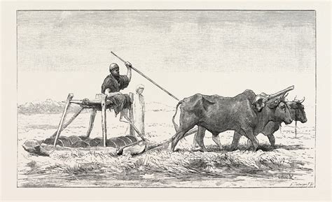 Threshing-sled posters & prints by Anonymous