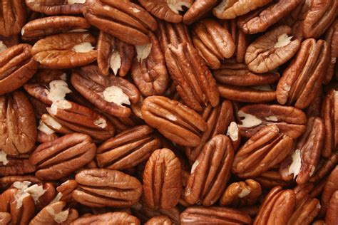 All The Nuts You Can (And Cannot) Eat On Keto | Pecan nuts, How to ...