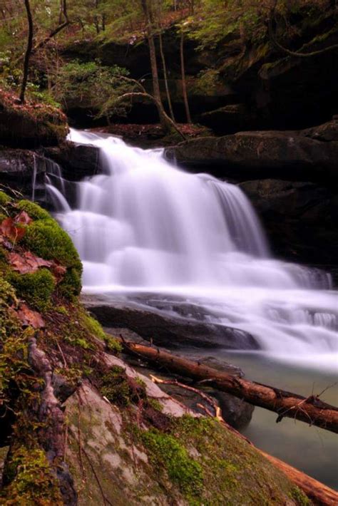 Bankhead National Forest Waterfalls Map - Bankhead Sipsey Hiking Trails ...