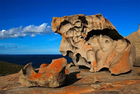 Kangaroo Island travel | South Australia, Australia - Lonely Planet