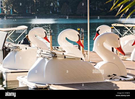 The famous swan boats on Lake Eola Park in Orlando, Florida. Lake Eola ...