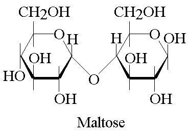 Maltose Molecule Structure Sketch Coloring Page