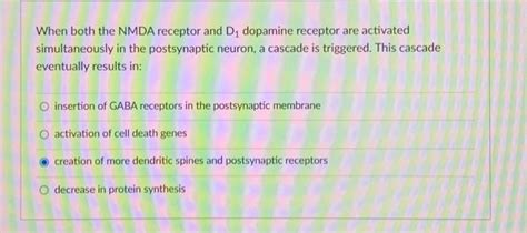 Solved When both the NMDA receptor and D1 dopamine receptor | Chegg.com