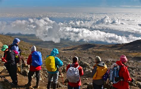 7-day Climbing Kilimanjaro via the Rongai Route. 7-day trip. Certified ...