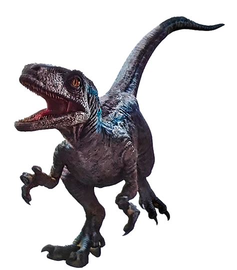 Jurassic World Dominion: Blue Beta Velociraptor RealBig Officially ...