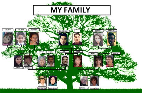 Blog Salvador Lorca - English I: My Family Tree