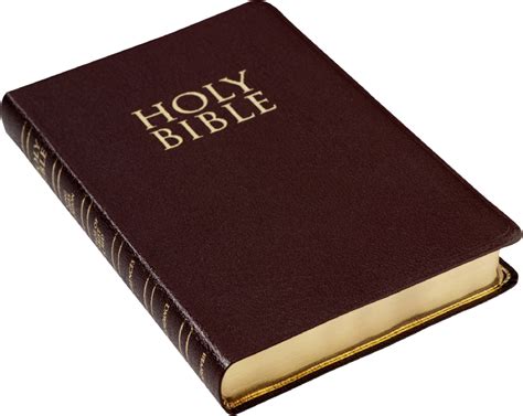 Bible PNG Transparent Images | PNG All