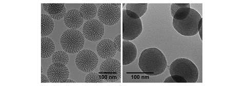 Mesoporous Silica Nanoparticles – nanoComposix