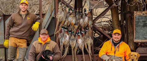 kansas-pheasant-hunting-guides - 10 Gauge Outfitters