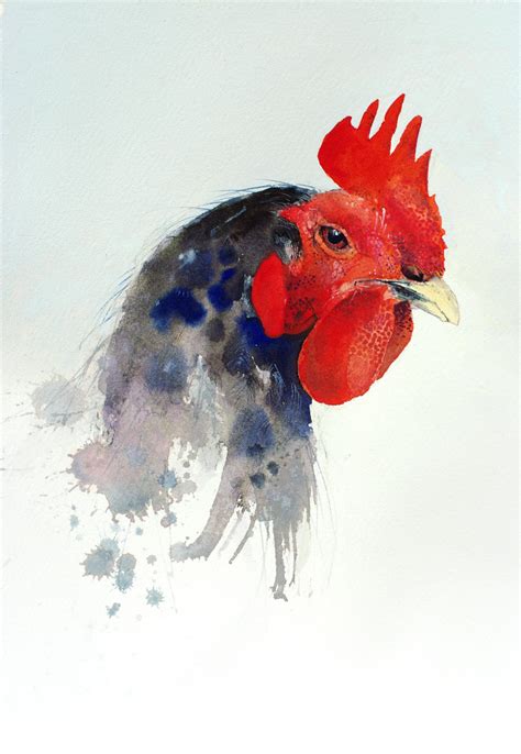 chicken watercolor | Splashing Paint