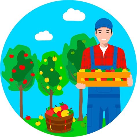 Premium Vector | Man farmer gardener in uniform holding box with apples on background with apple ...