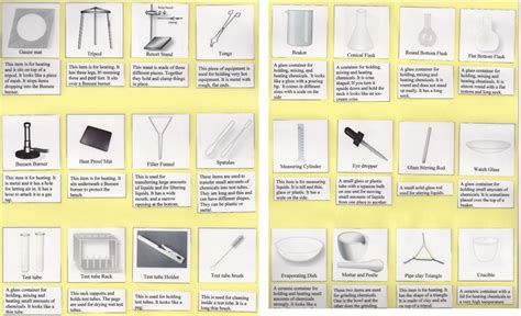 Lab Equipment Worksheet Answers – Imsyaf.com