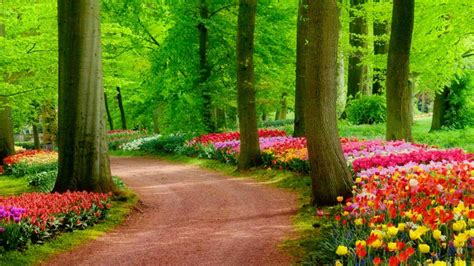 Sand Road In Beautiful Garden With Green Trees And Colorful Flowers ...