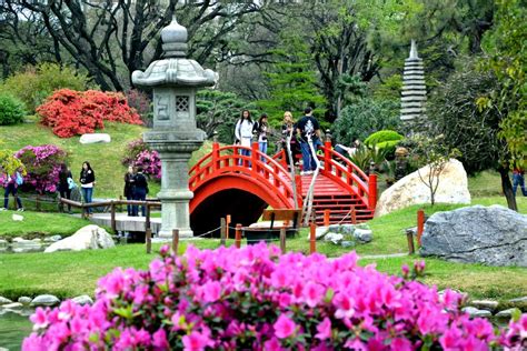 7 plantas para un jardín japonés 【AL DETALLE】