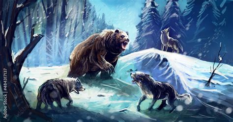 grizzly bear vs wolf pack Stock Illustration | Adobe Stock