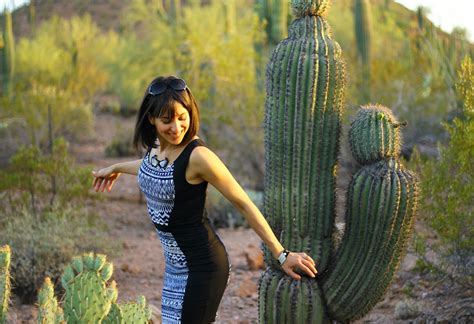 The Desert Botanical Garden in Phoenix, AZ - Little Bites of Beauty