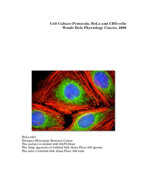 (PDF) Cell Culture Protocols, HeLa and CHO cells Woods Hole Physiology Course, 2006 | A B ...