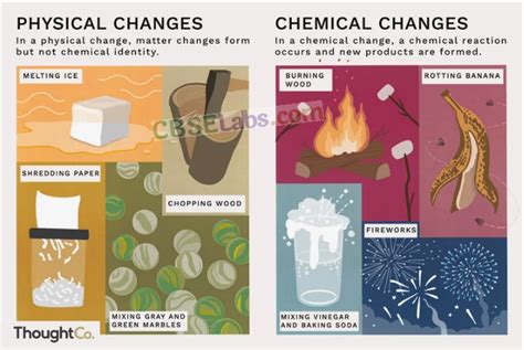 Changes Around Us Class 6 Notes Science Chapter 6 - Learn CBSE